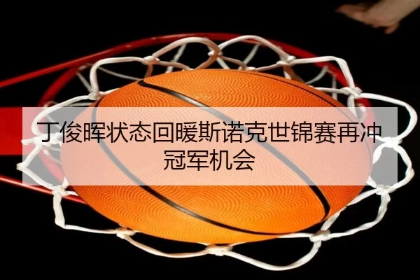 ding-jun-hui-zhuang-tai-hui-nuan-si-nuo-ke-shi-jin-sai-zai-chong-guan-jun-ji-hui-2-312.jpg