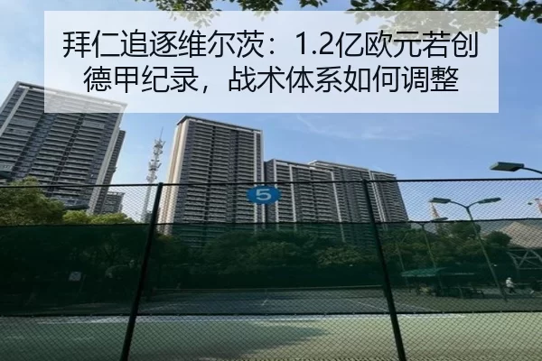 bai-ren-zhui-zhu-wei-er-ci-yi-ou-yuan-ruo-chuang-de-jia-ji-lu-zhan-shu-ti-xi-ru-he-tiao-zheng-2-170.jpg